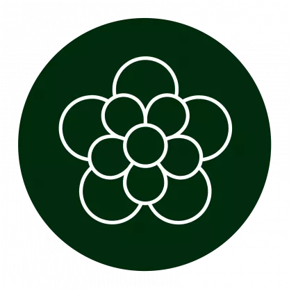 Organisation & Leitung des Abegghuus Rüschlikon Organisation & Leitung des Abegghuus Rüschlikon